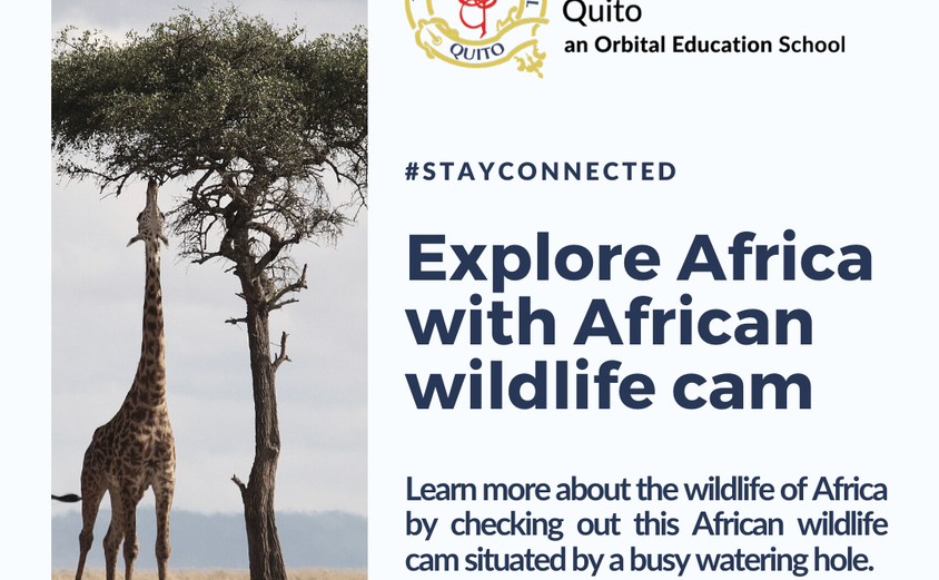 Activities to do at home 6