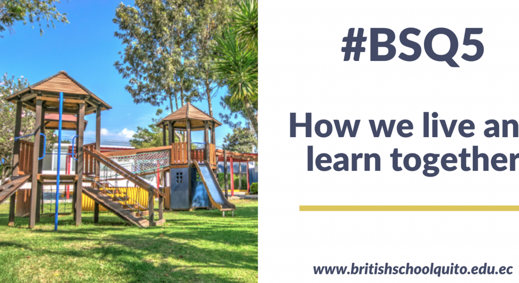 BSQ 5 reasons 200116 132207