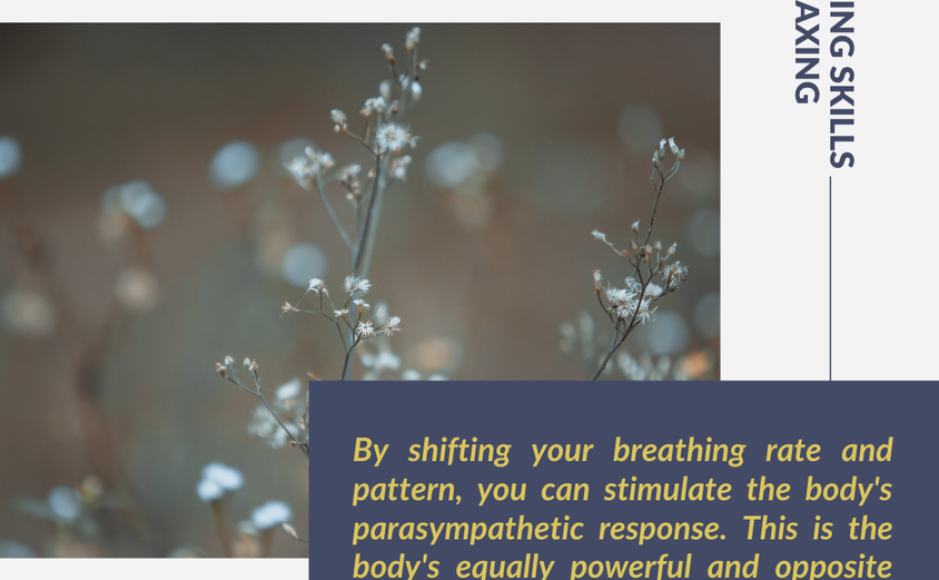 Breathing Skills 2