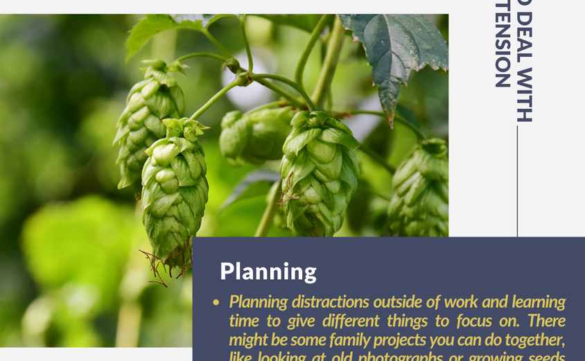 How to deal with family tension 5