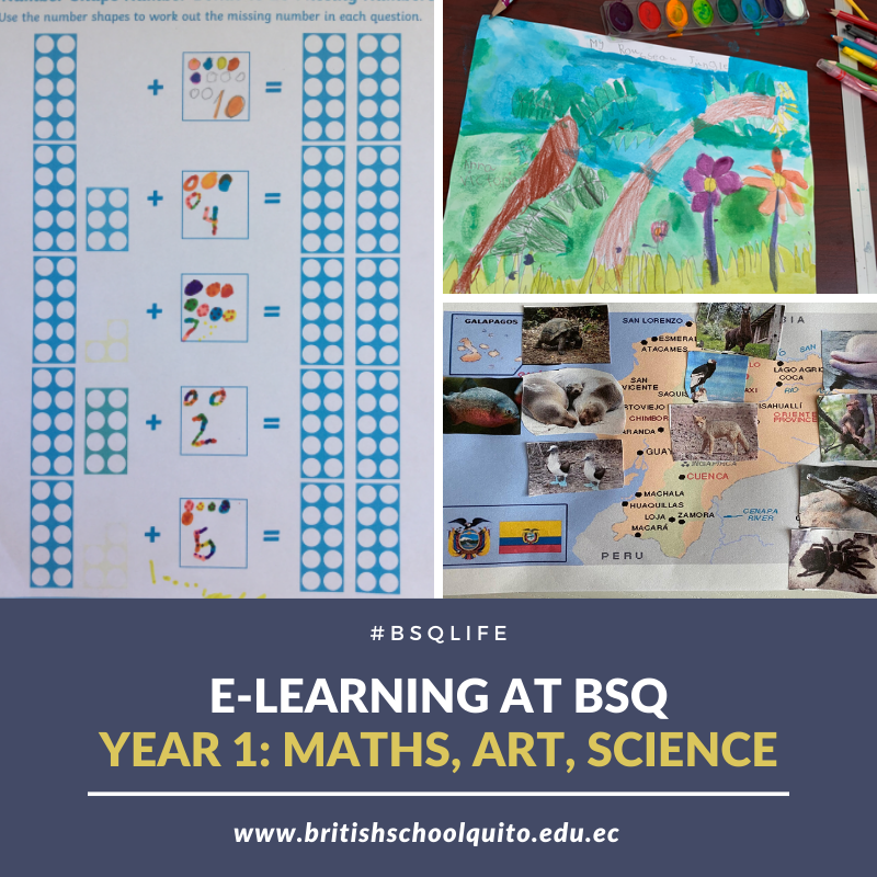 E learning Year 1 FB