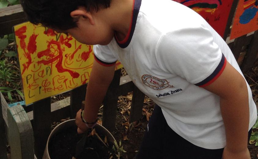 Enrichment live 1 orig