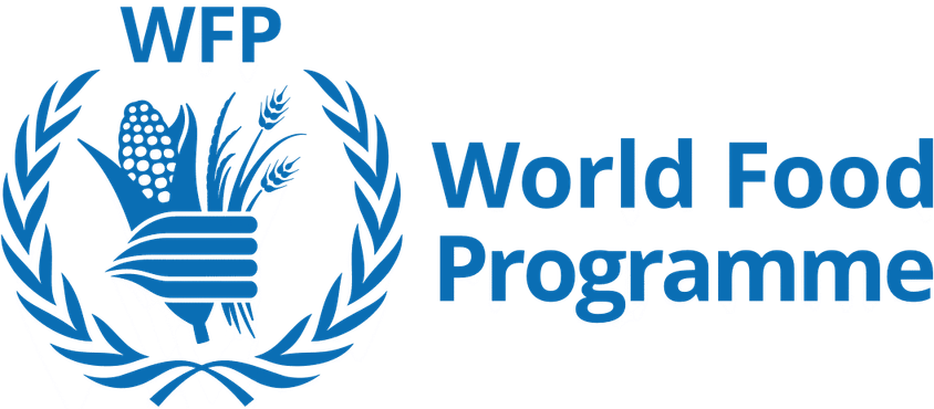 Wfp logo standard blue en